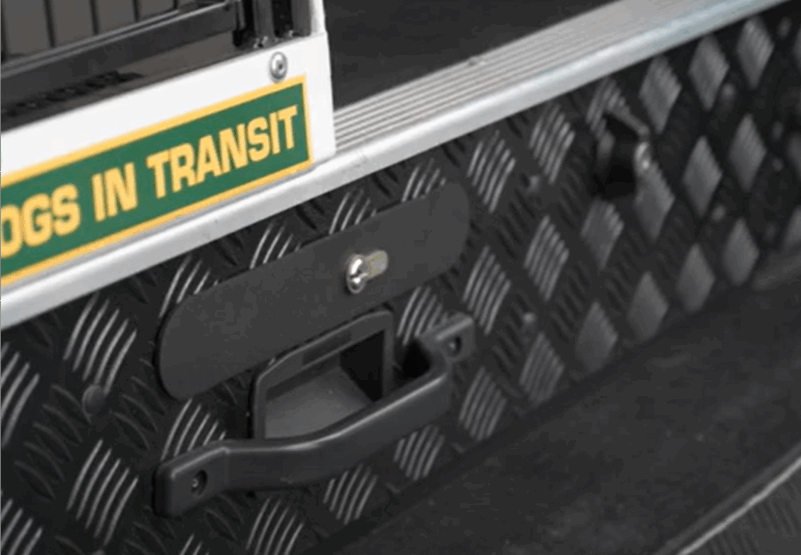 Picture of dog box with text 'DOGS IN TRANSIT' on Lintran website