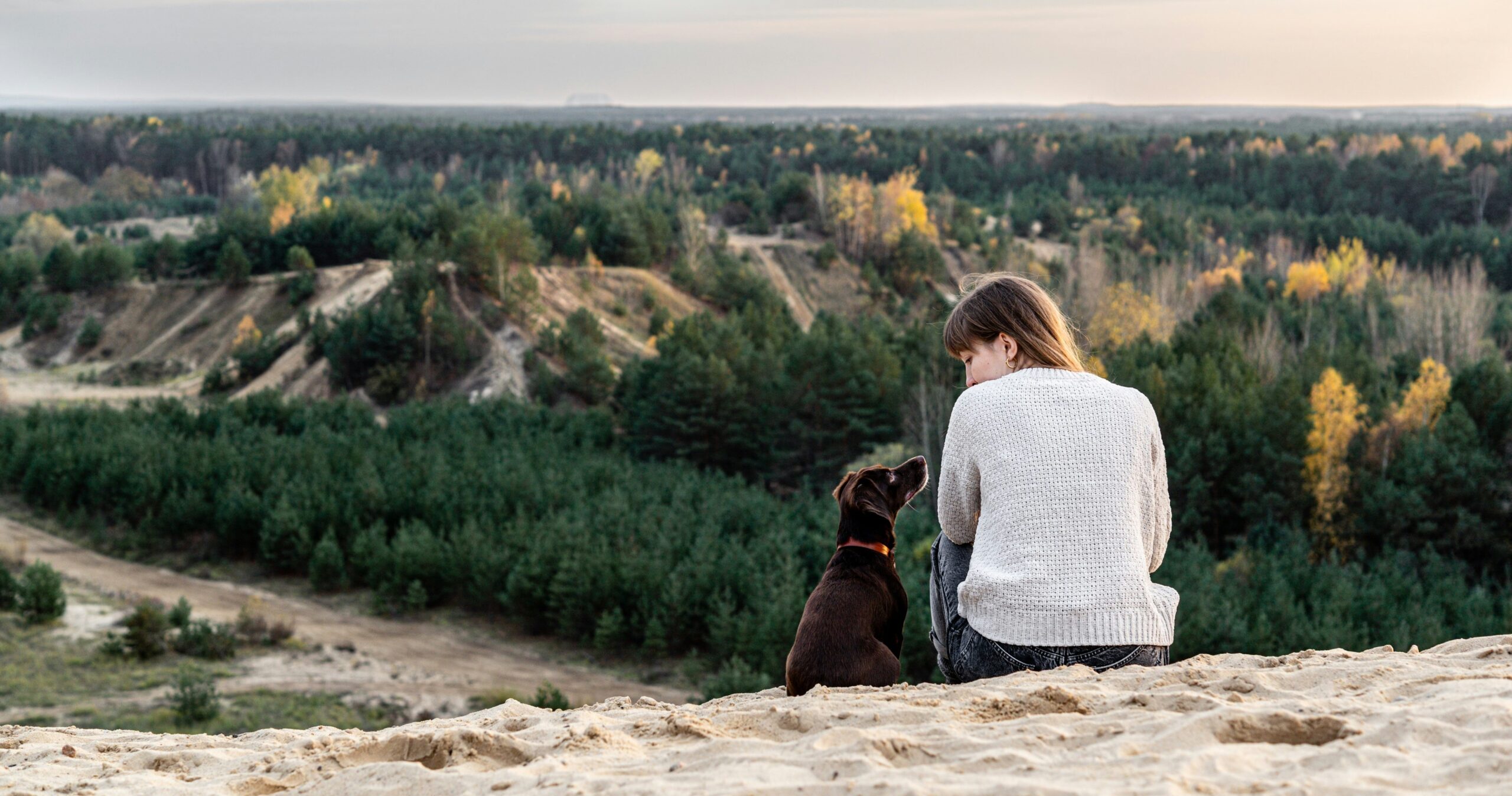 Picture of a lady with a dog on the Lintran website
