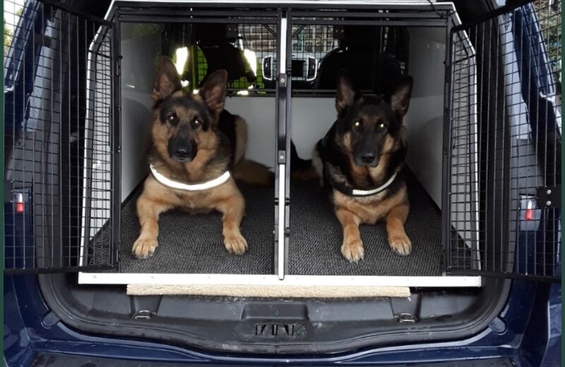 Picture of Lintran dog box