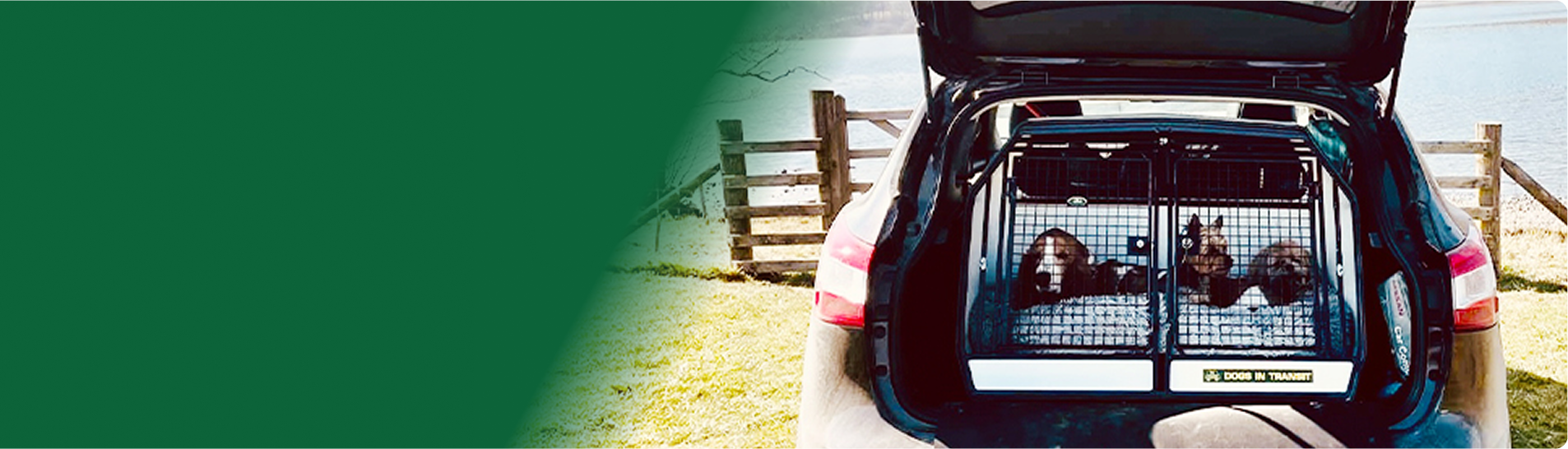 Custom dog boxes for cars