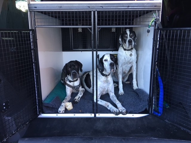 Picture of Lintran custom dog box