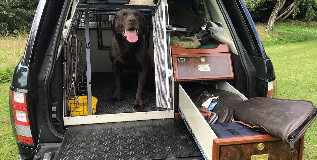 Picture of Lintran dog box