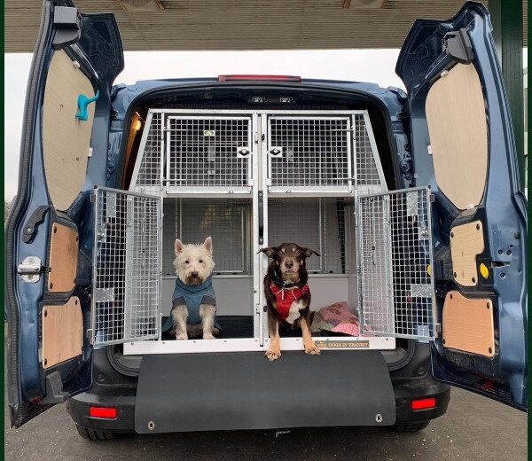 Picture of Lintran dog box