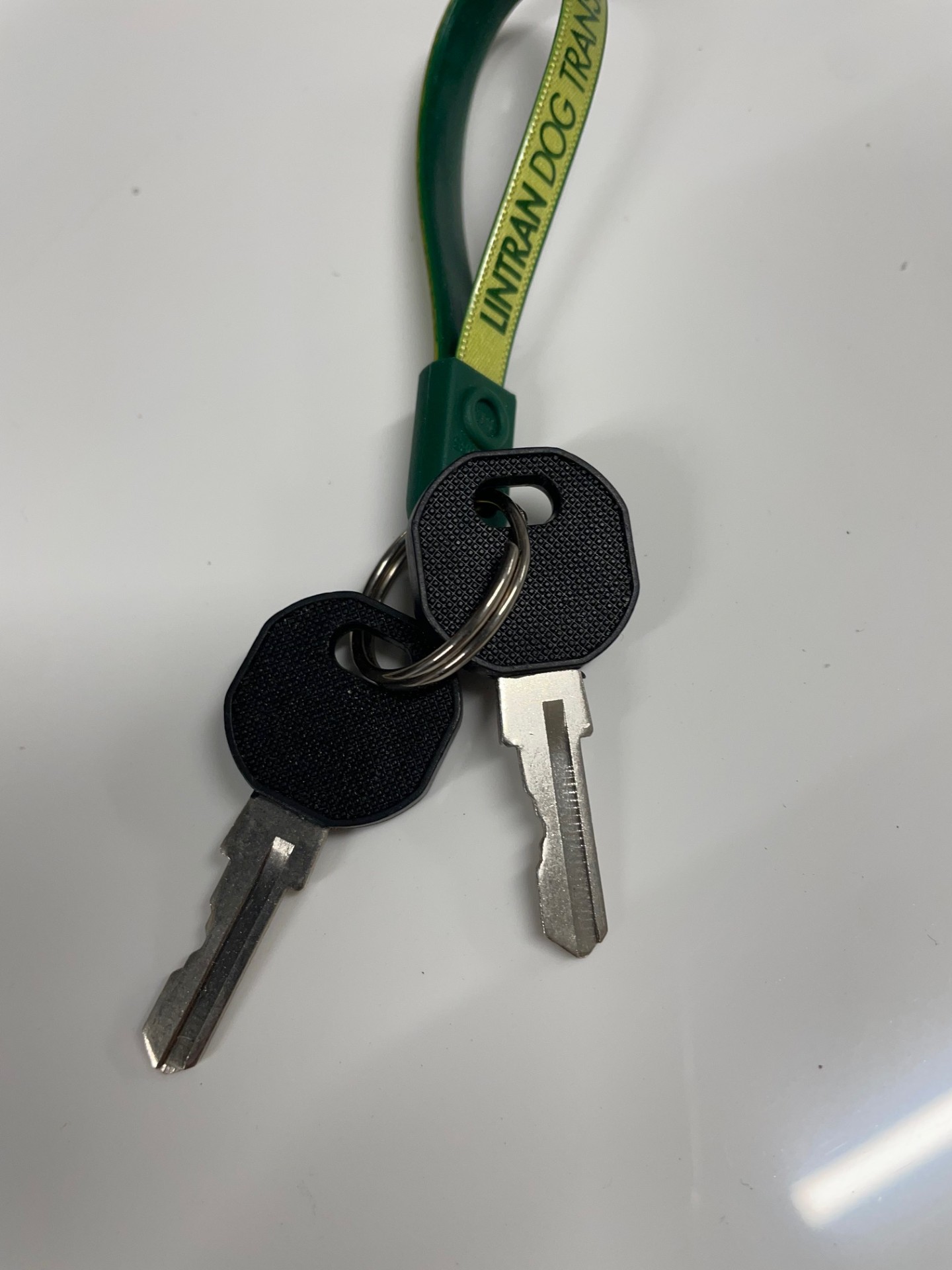 Replacement Keys for Dog Boxes | Secure Your Crate | Lintran