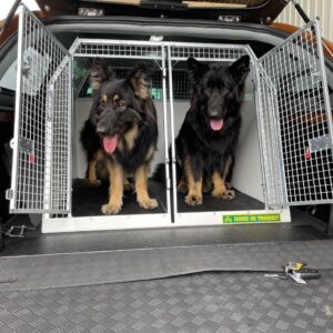 Custom-made dog transit box for your pick-up