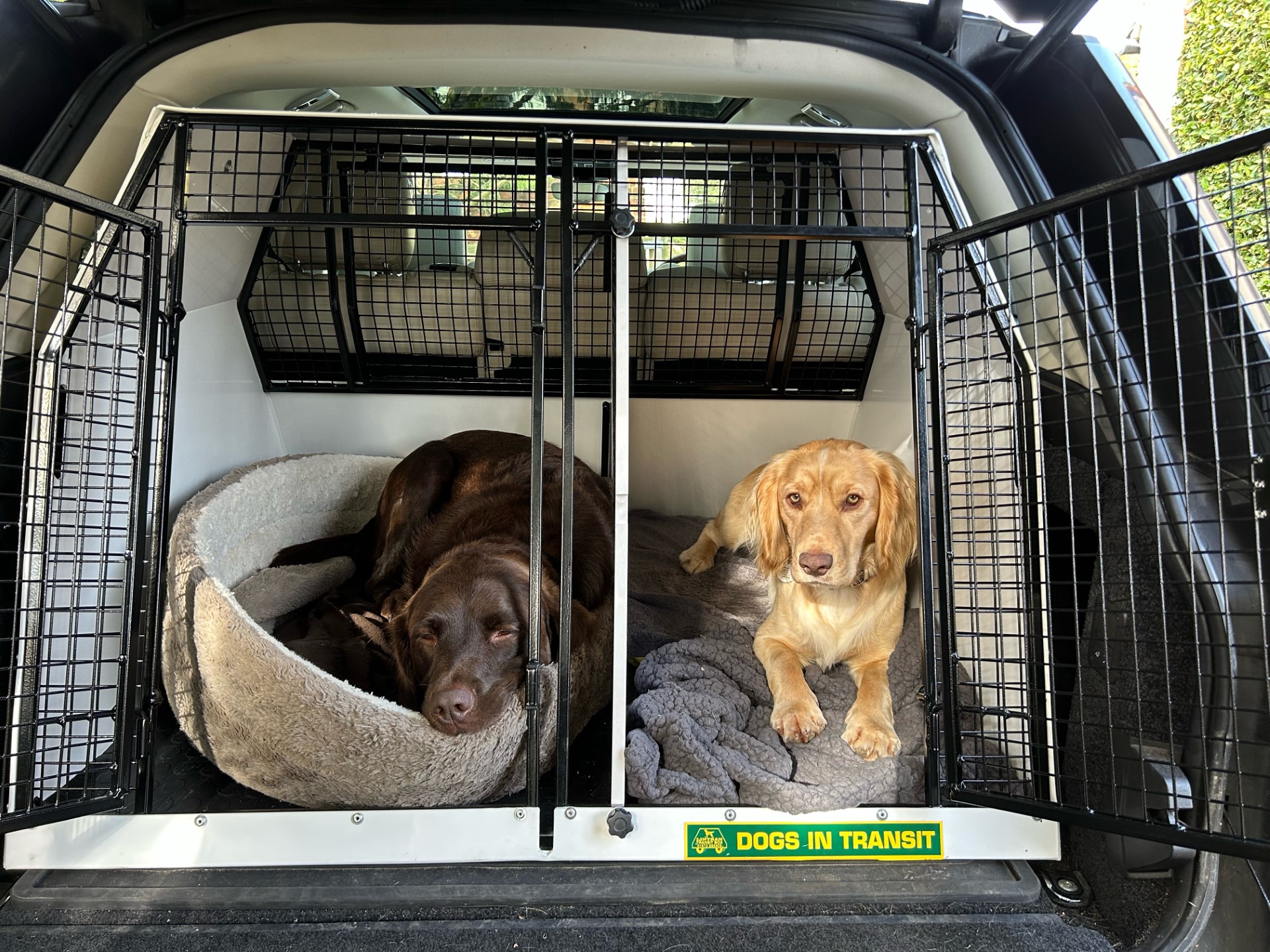 When it’s feeling hot, hot, hot, Lintran dog transit boxes are cool!