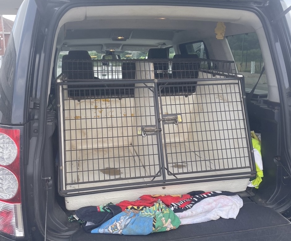 A 35-year-old dog transit box in the boot of a car.